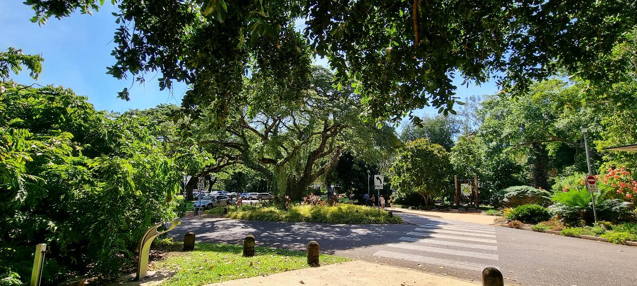 SJR21.d5: lush vegetation around Garden's entrance
