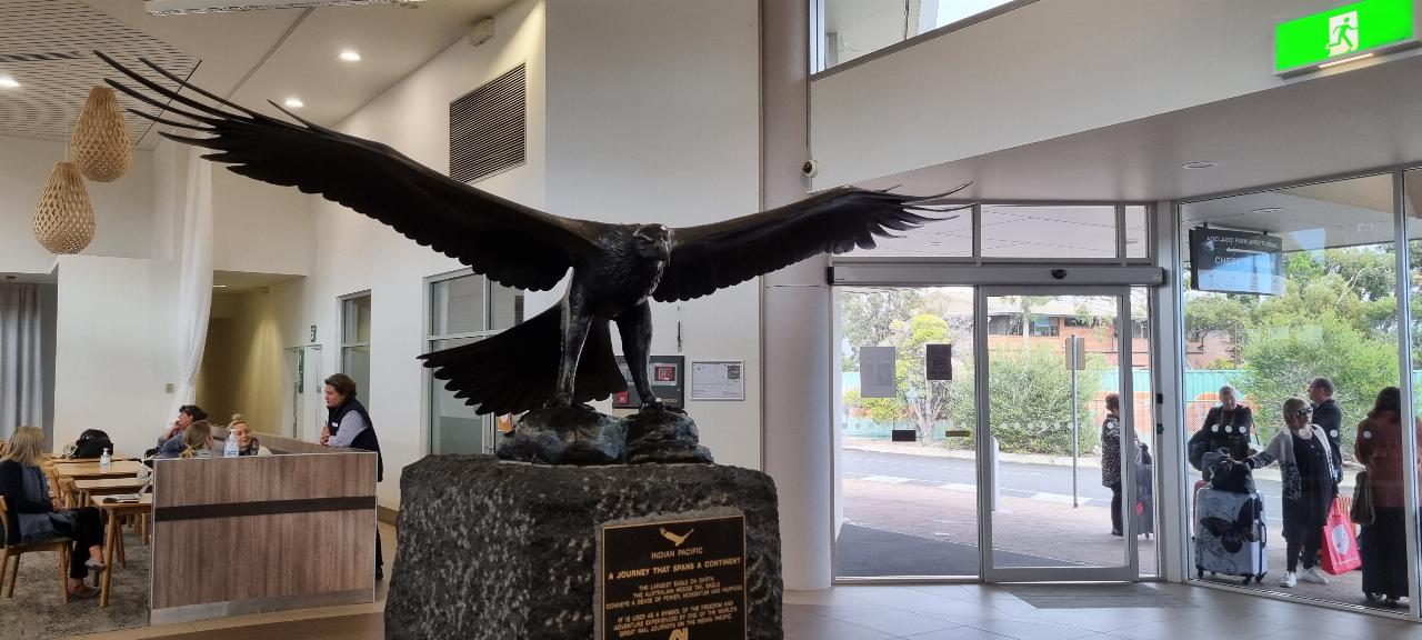 SJR21.d2: Wedge Tail Eagle at Parklands Station