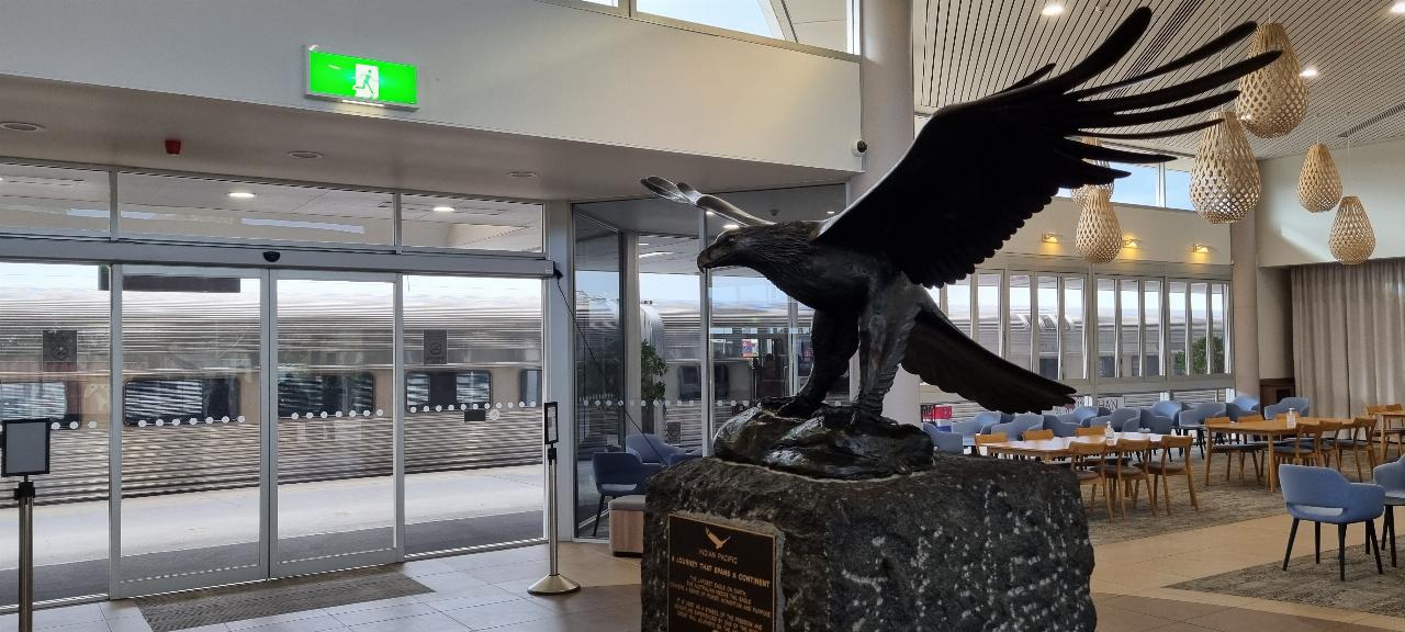 SJR21.d2: Wedge Tail Eagle at Parklands Station