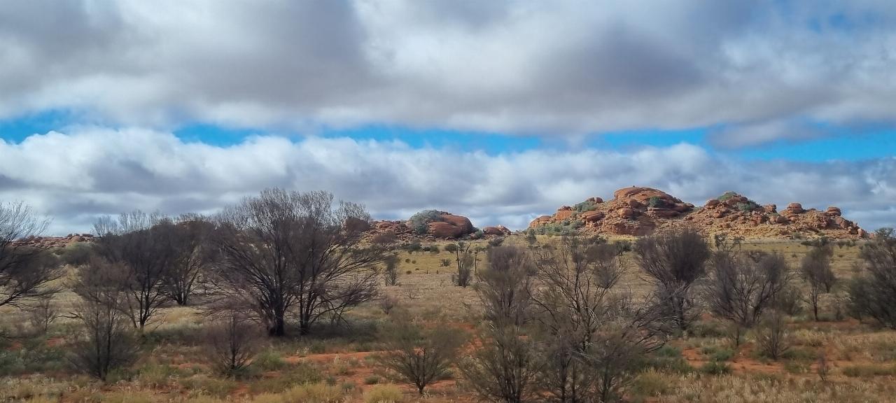 SJR21.d3: somewhere north of Marla - III