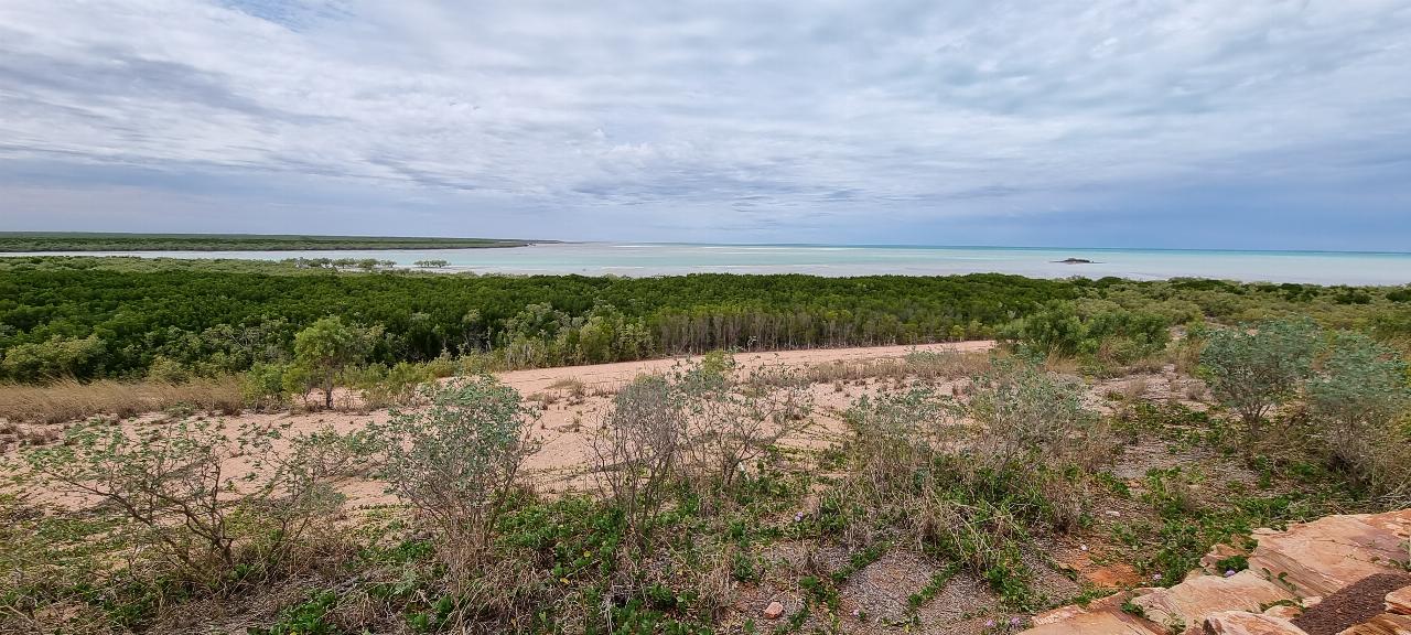 SJR21.d18:  Roebuck Bay from Lookout