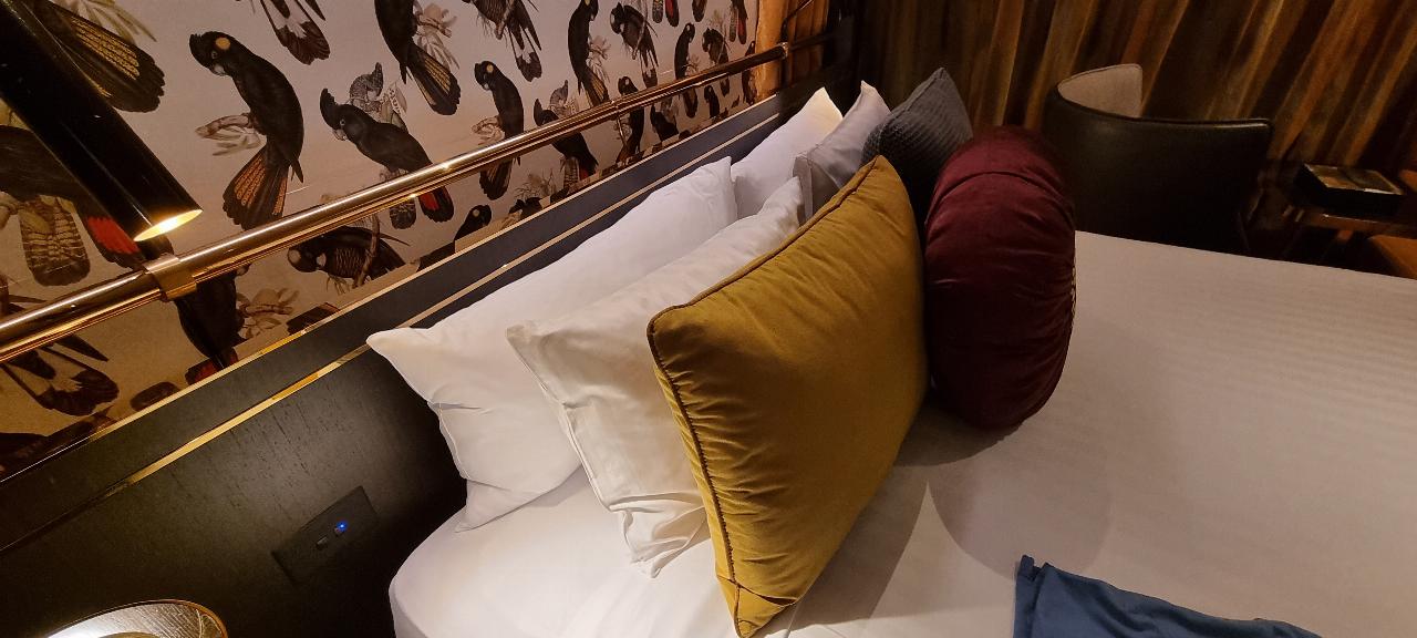 SJR21.d18:  SEVEN pillows on the bed