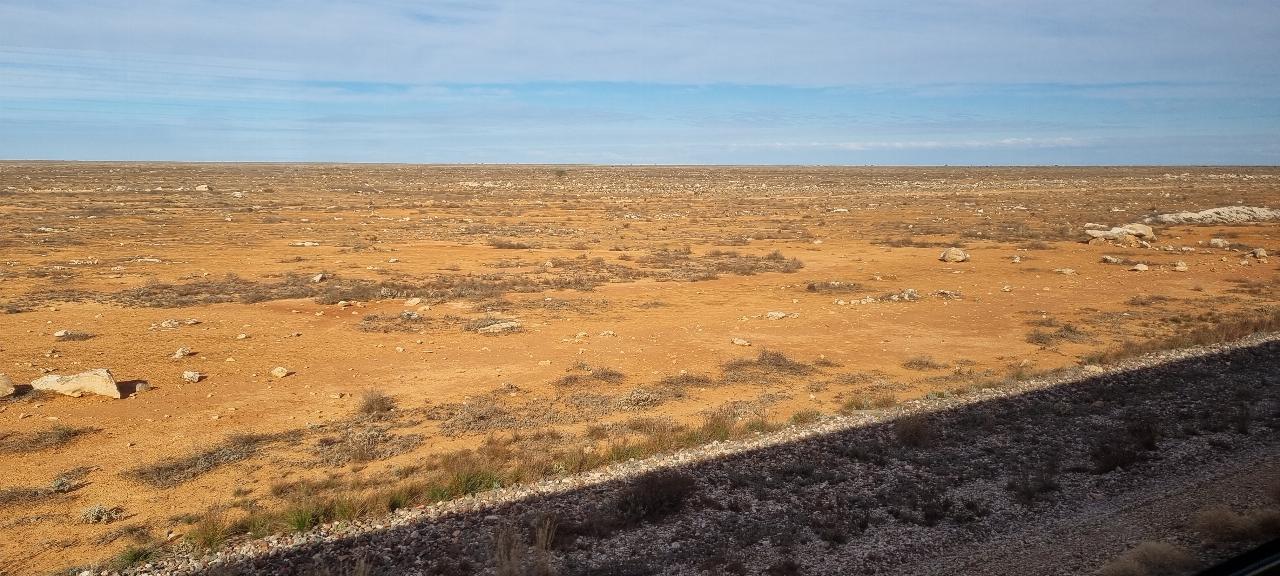 SJR21.d21:  Nullarbor Plain nearing Forrest cattle station (Nurina stop)