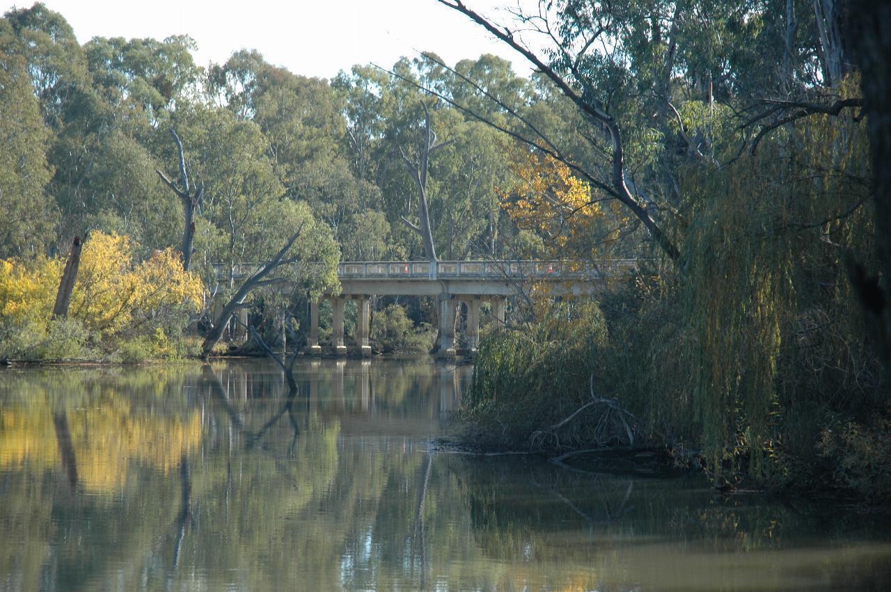 Concrete bridge over calm river, trees on both banks, some autumn colours