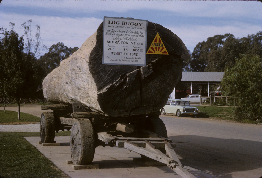 1964