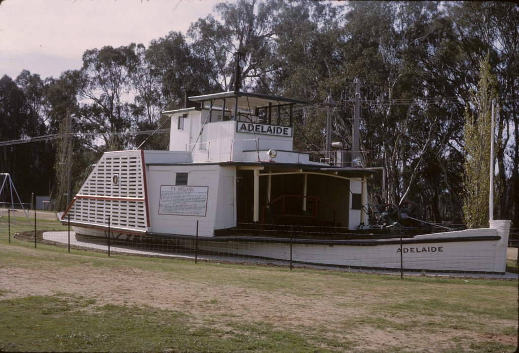 1964