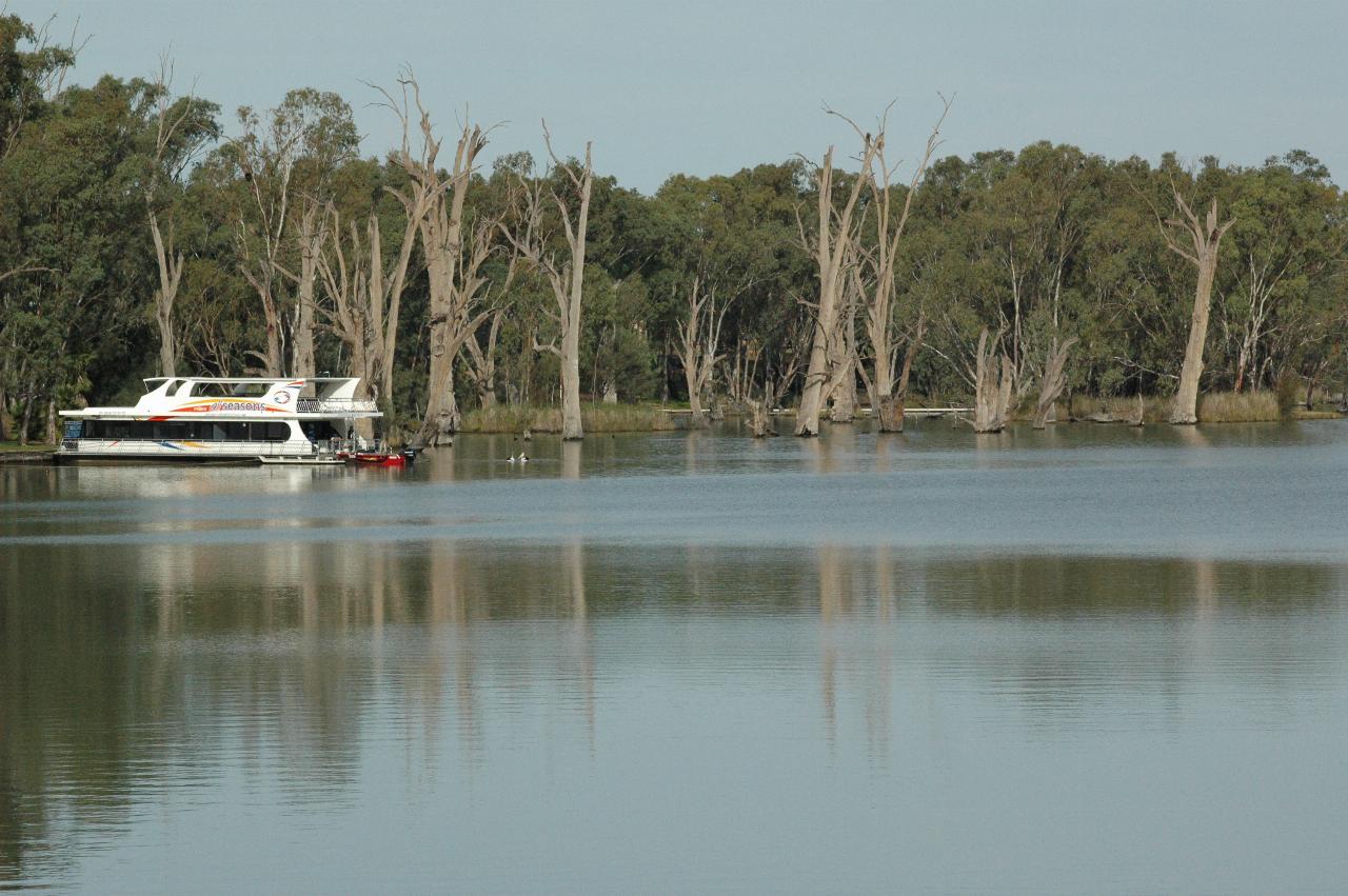Boat tied up to river bank at bend in river, with dead trees in water, green ones on land