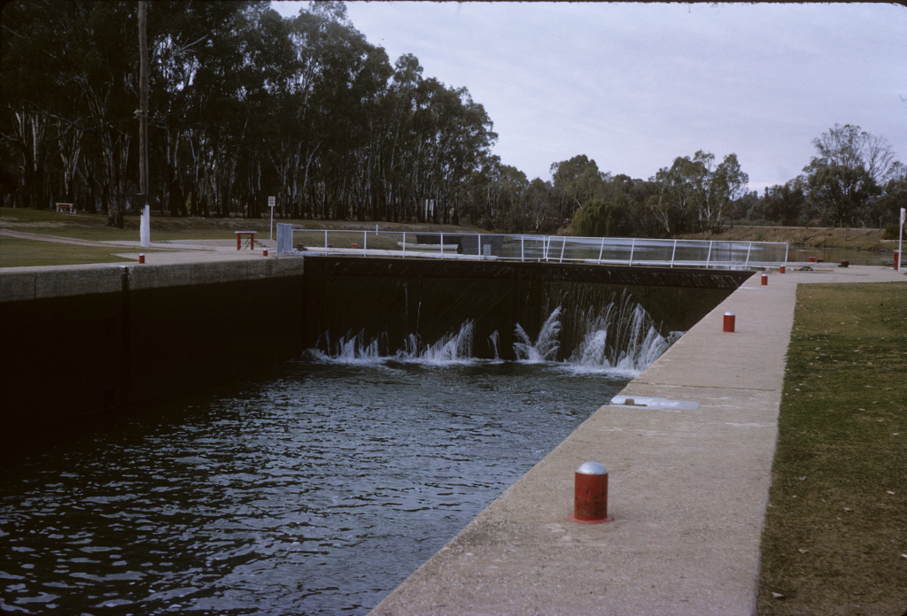 1964