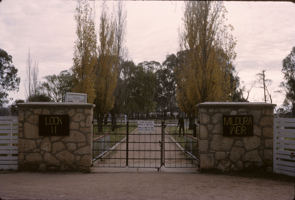 1964