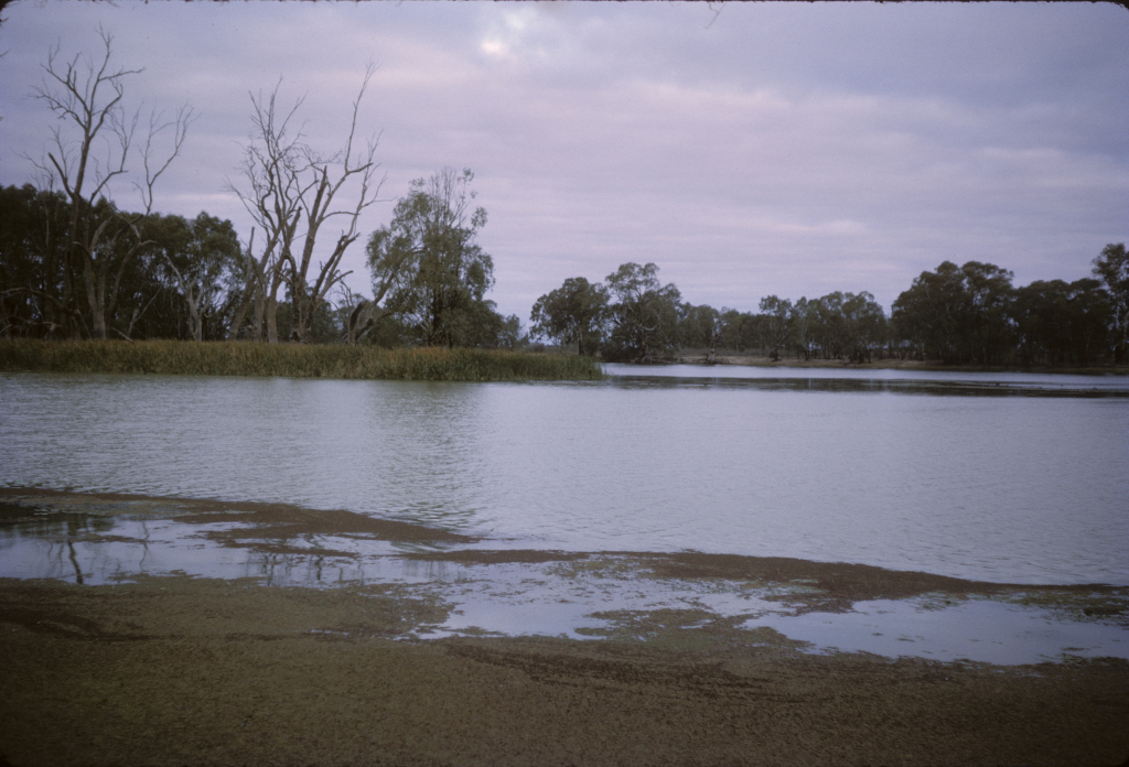 1964