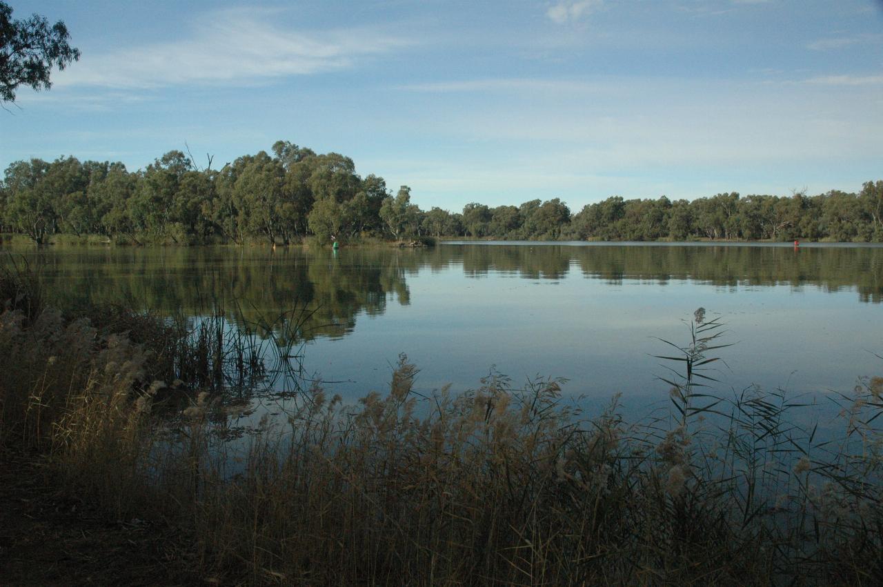 Y shaped river juntion, trees on all shores