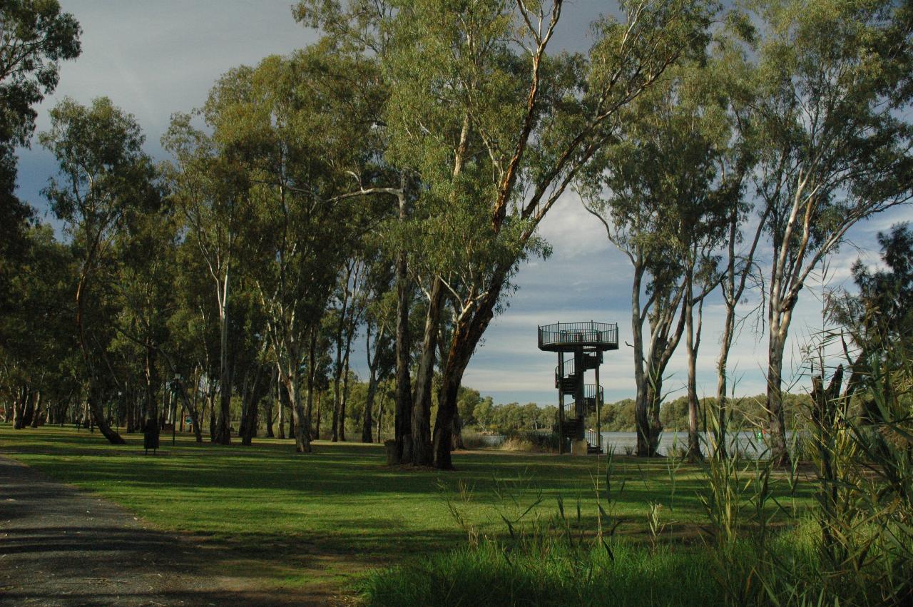 Grassed area, some trees and observation tower with spiral staircase