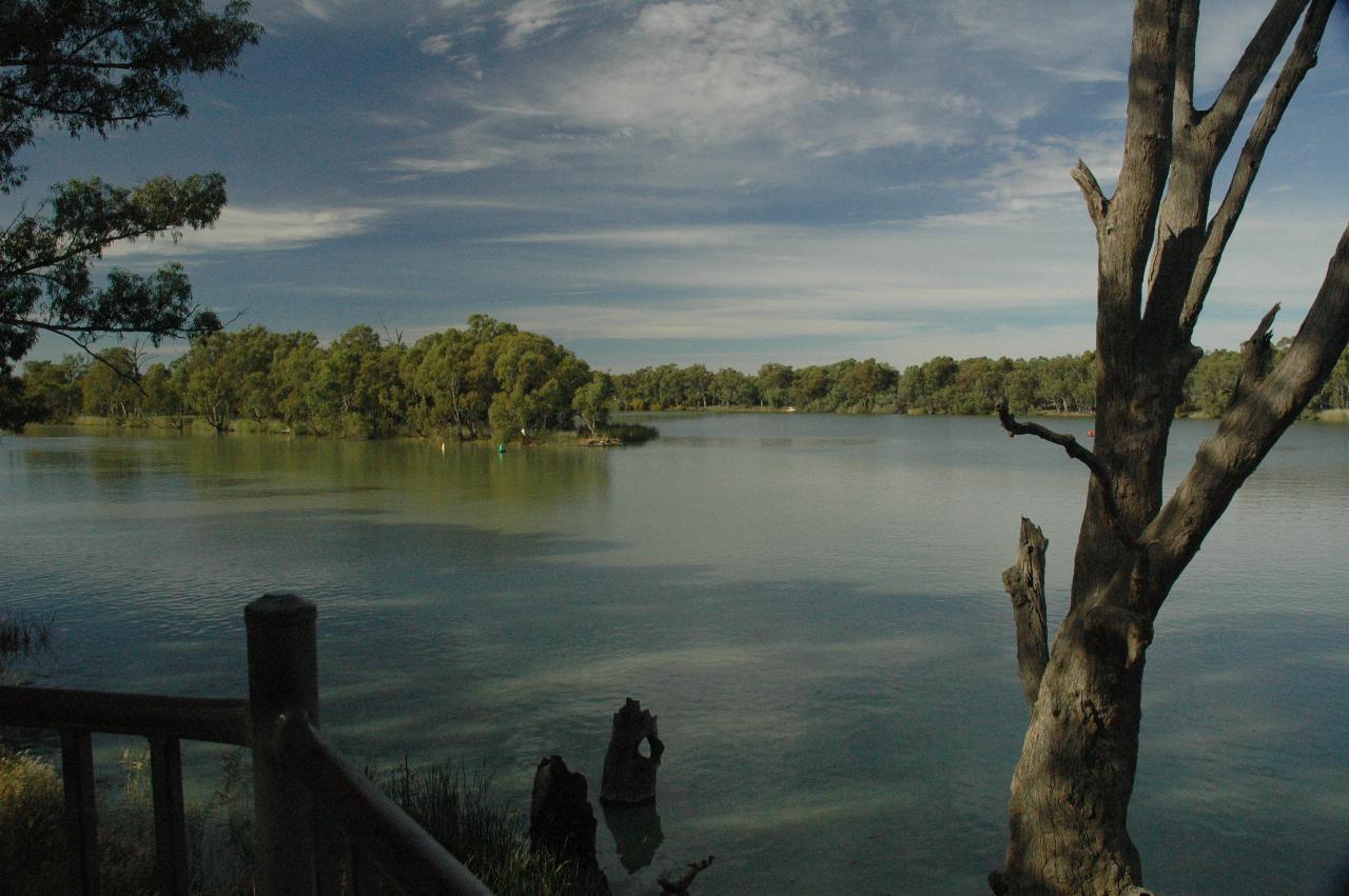 River junction with tree lined shores, seen from tower with dead tree near