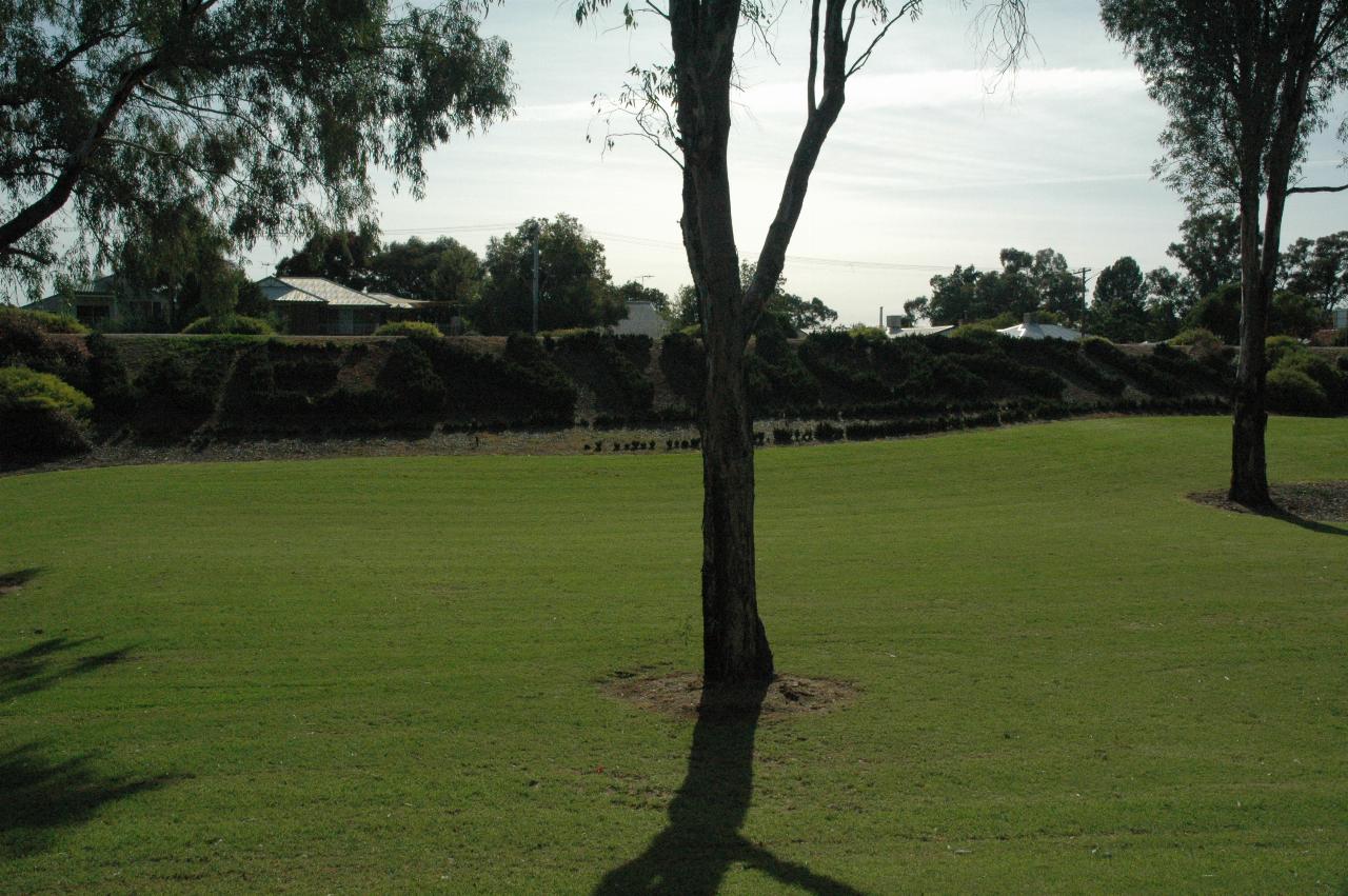 Embankment with Wentworth spelled out by small shrub plantings