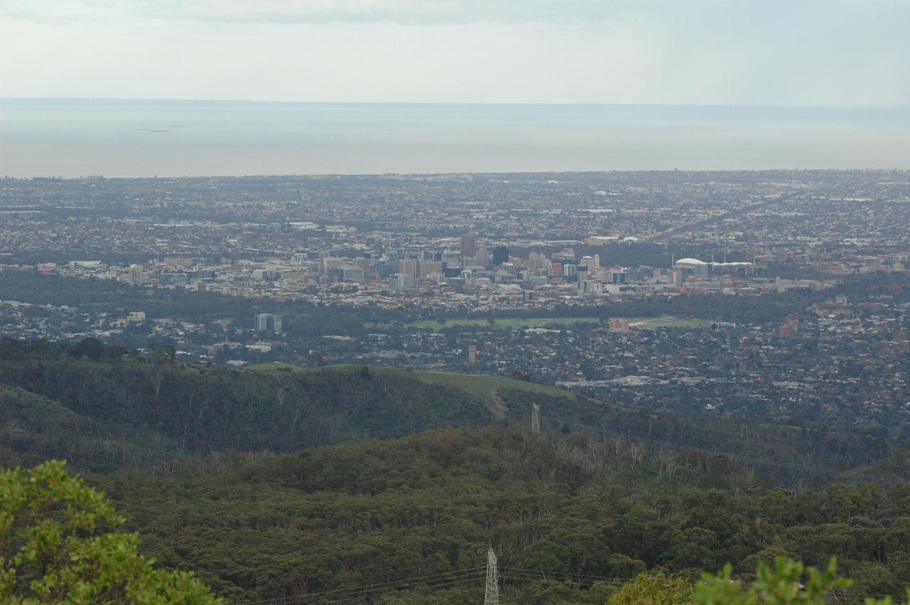 View over trees to rectangular city centre, suburbia beyond and water in distance