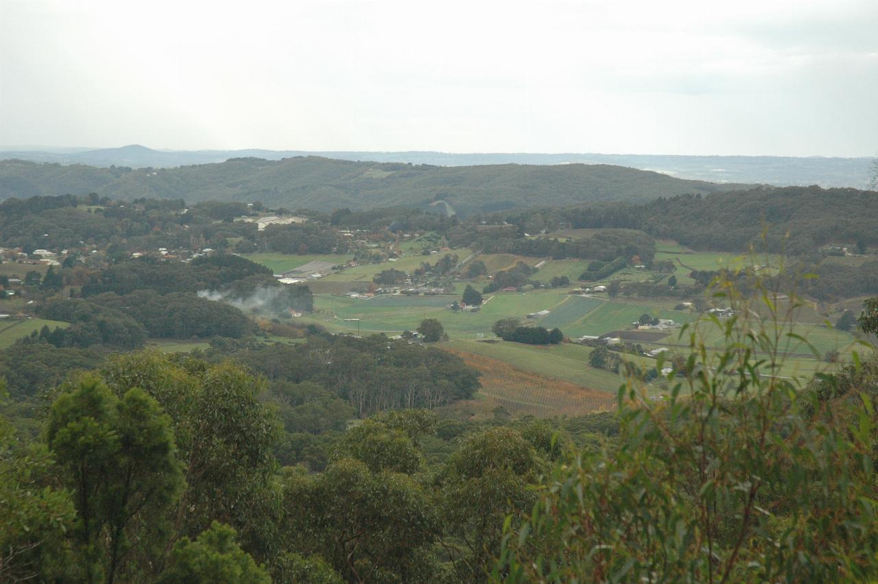 Distant green or yellow fields between close trees; grey sky