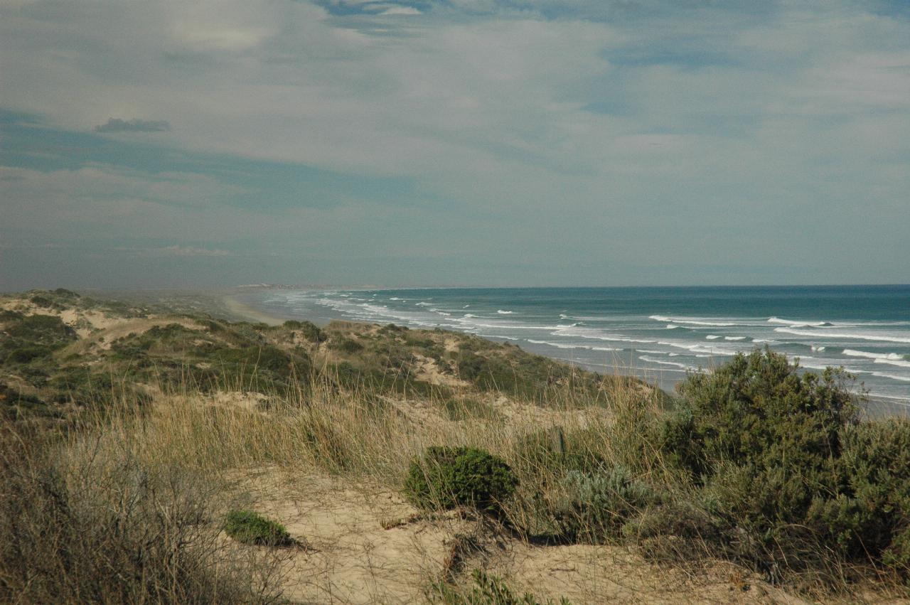Beach and sand dunes with waves and spray disappearing into the distance