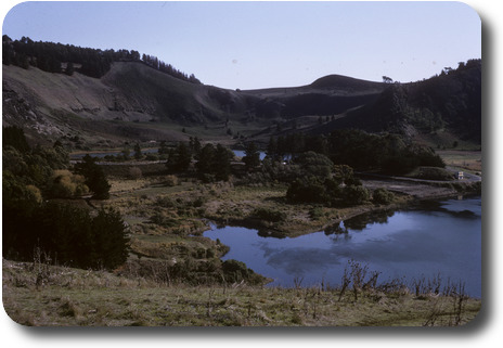 View into crater with 2 lakes, a few trees and scrappy vegetation