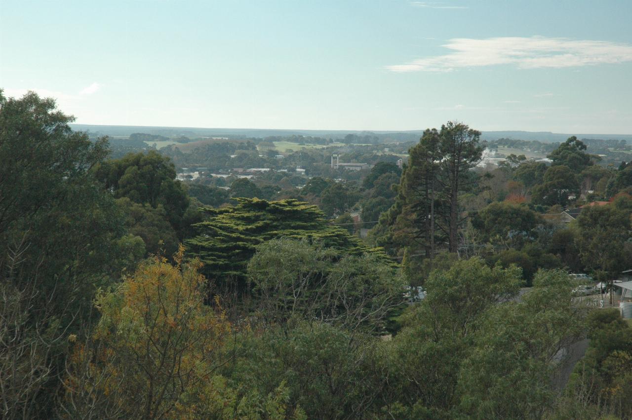 Looks over trees to some distant buildings and gentle hills with grass and trees in distance