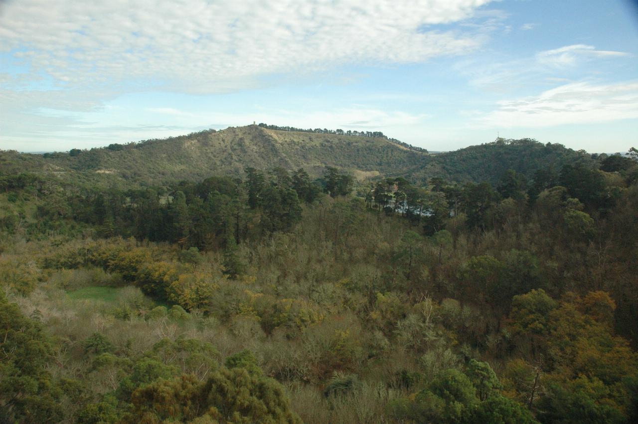 Looking down to area with many trees, distant lake seen between some trees and distant crater rim with tower on top