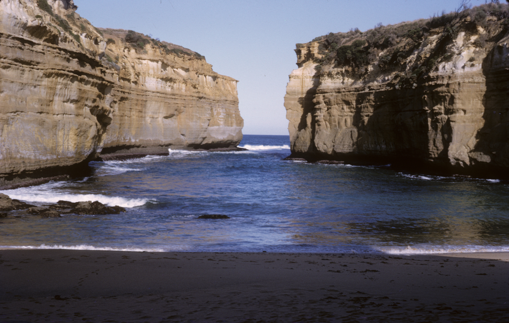 1964