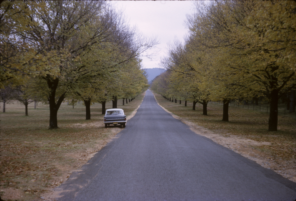 1964