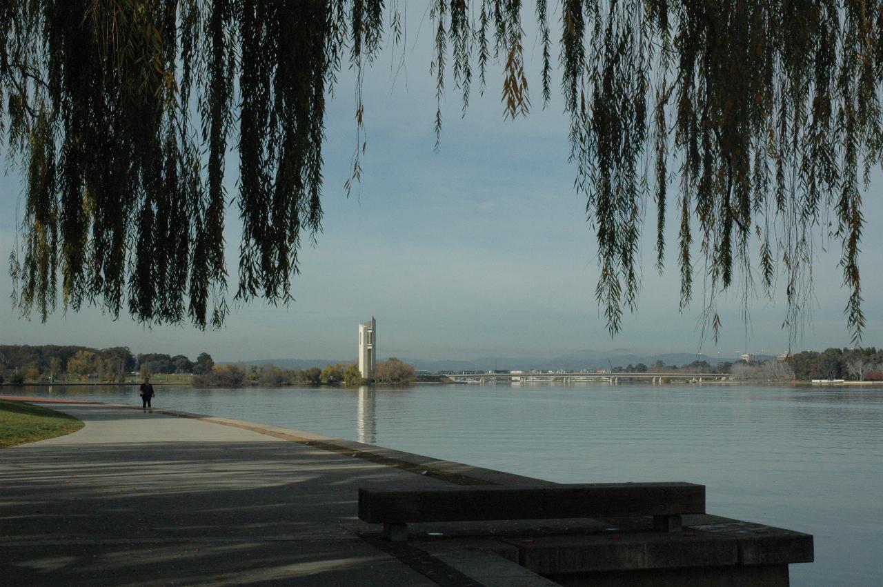Carillion reflecting off lake surface framed by willow tree branches at top, and lake edge at bottom