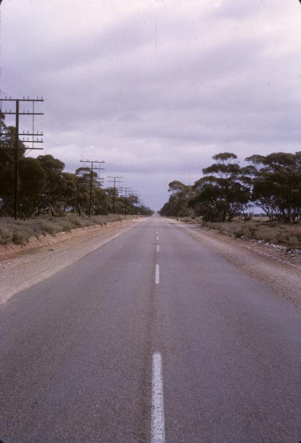 Straight road disappearing into the distance among trees; phone lines on left