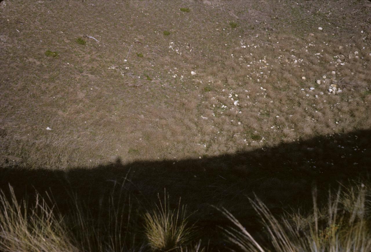 View down to something resembling dirt and weeds