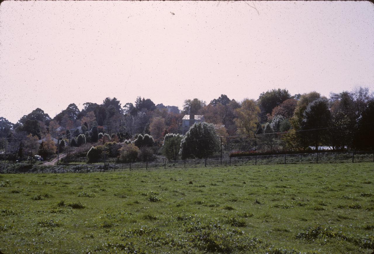 View across field to gardens with trees with autumn colours