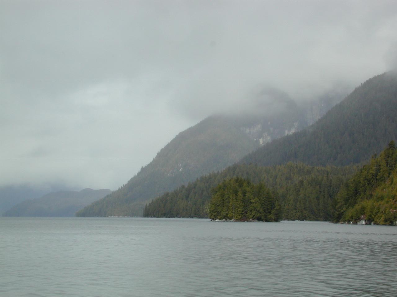 Tree covered island Royal Channel, BC