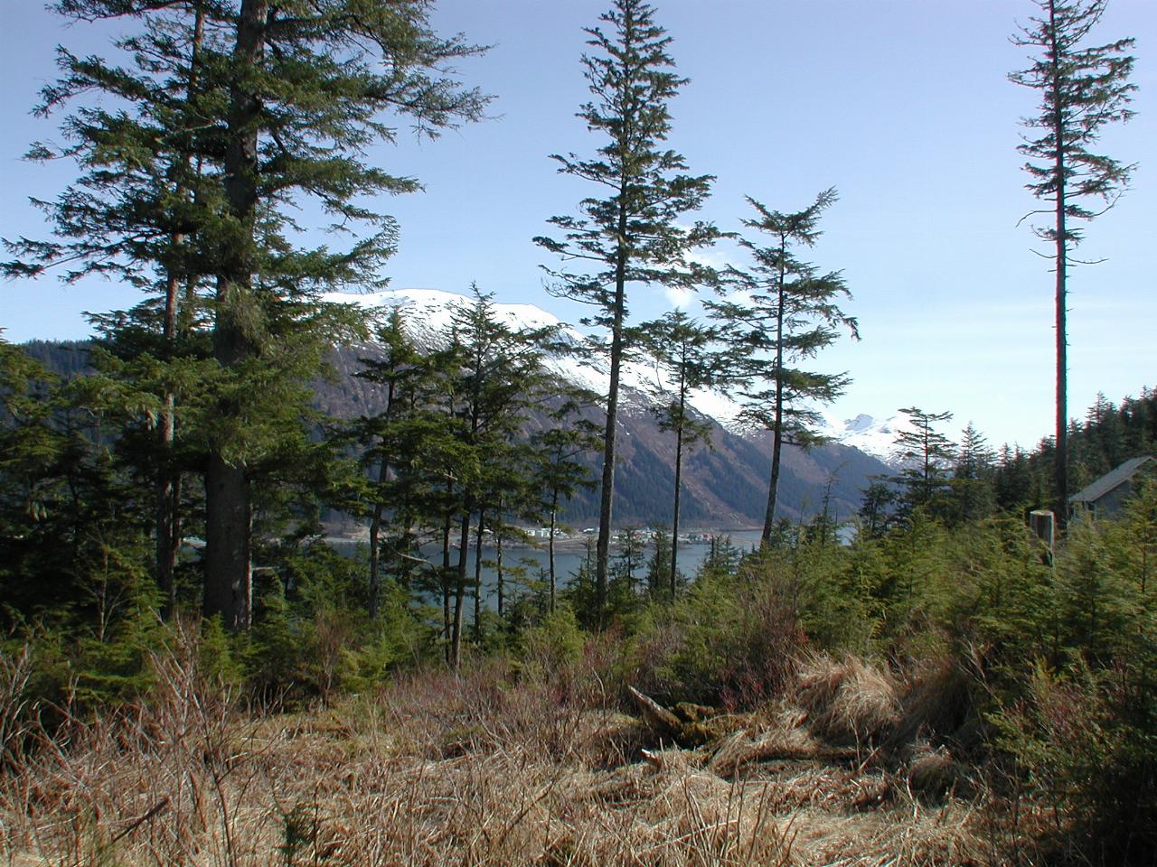 Looking down Gastineau Channel from Douglas Island