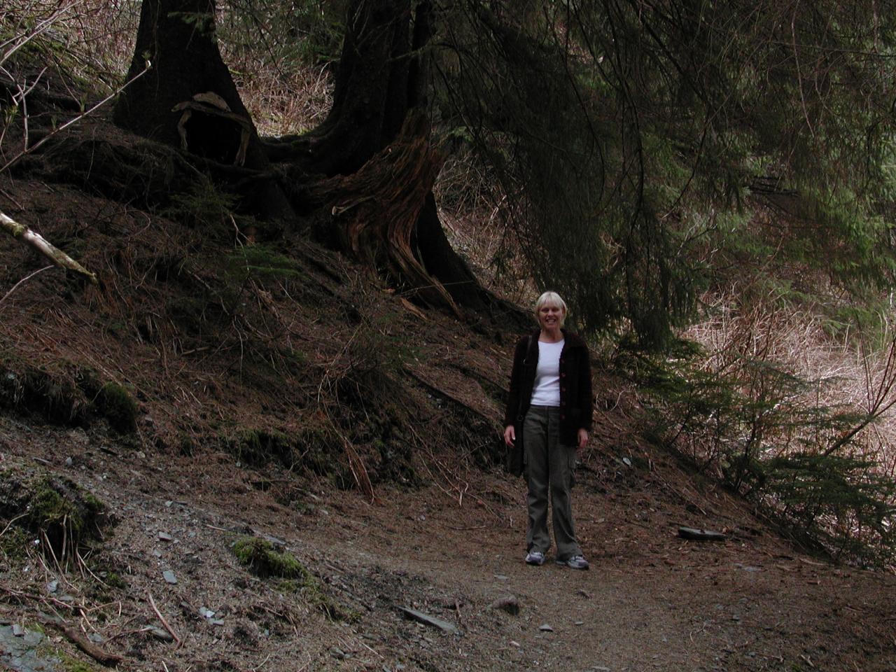 Kelly and I did a bit of bush walking - just feet from the edge of Juneau