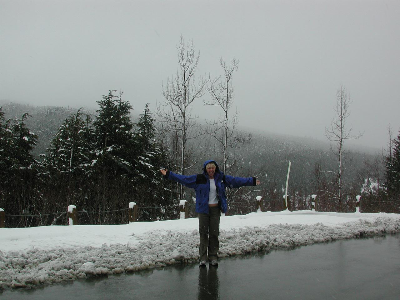 It's snowing on Kelly near Moose Pass on the way to Seward