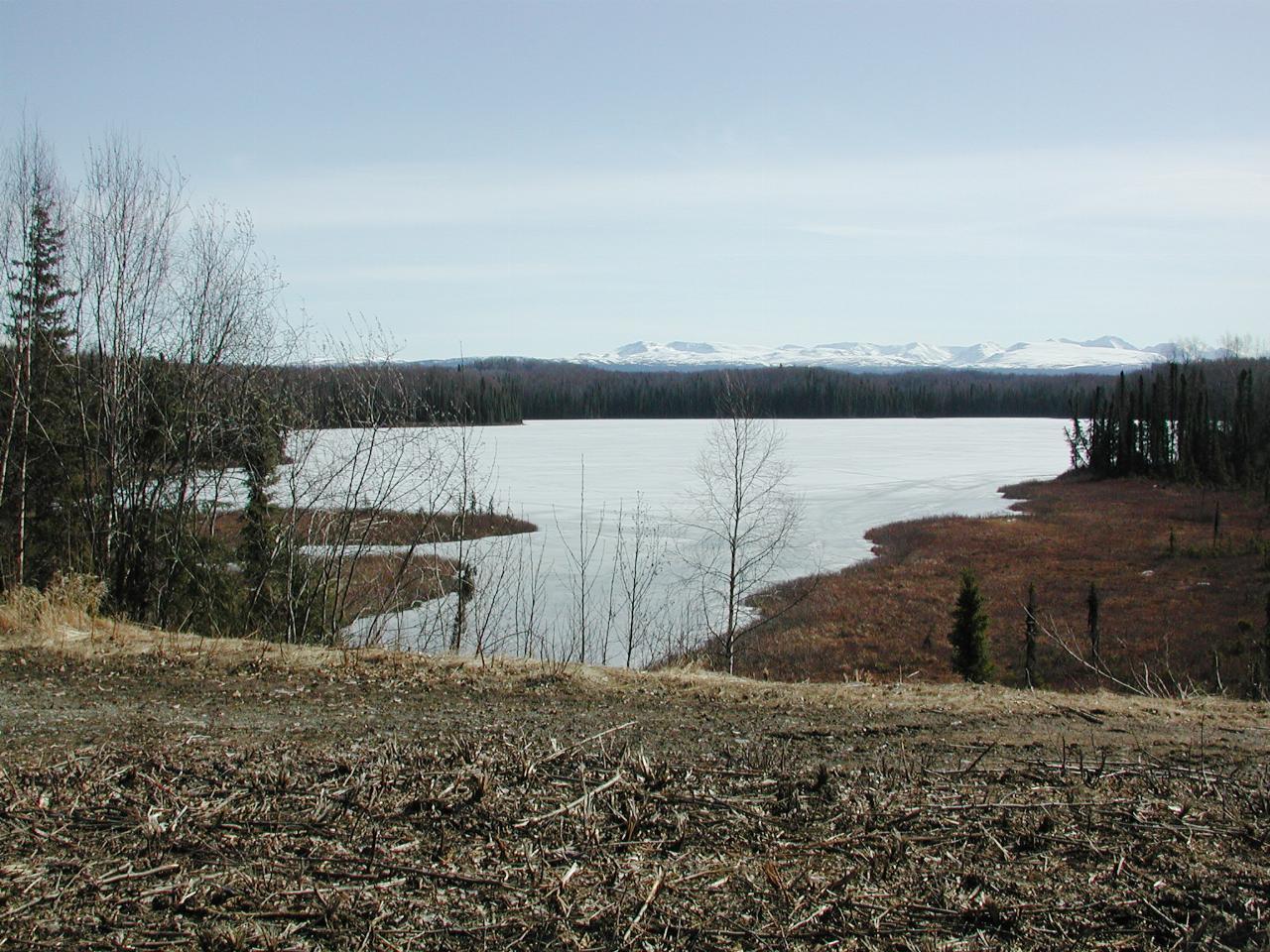 A frozen lake alongside the Talkeetna road