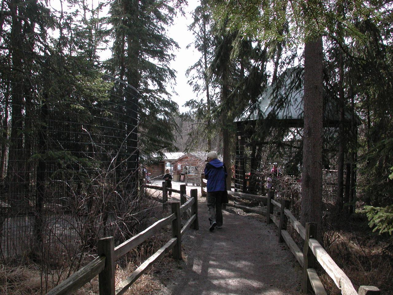 Kelly at Anchorage Zoo