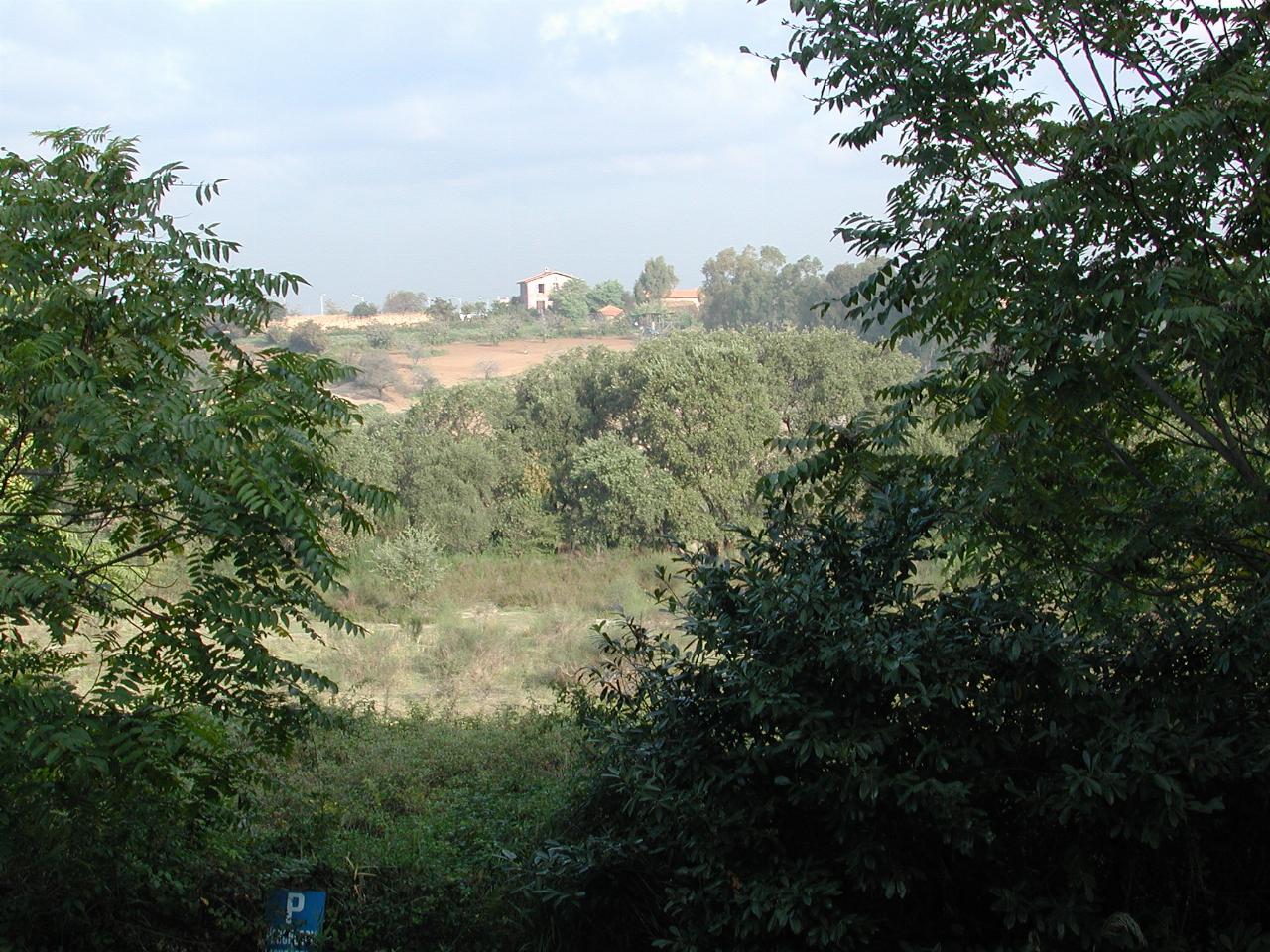 View out of my room at Aurelia Gardens 'hotel'