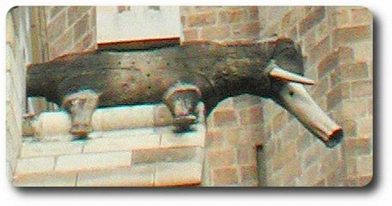 No details of dscnG3288-gargoyle1.jpeg