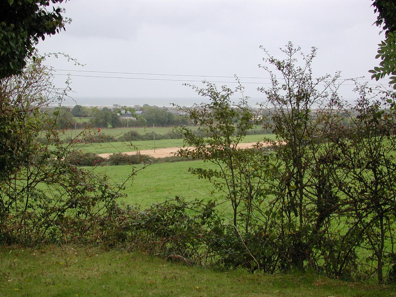 Near Clogherhead, north of Dublin