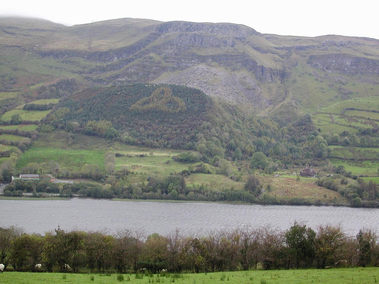 Clover leaf in trees at Drumcliff River Valley & Glencar Lake just east of Sligo