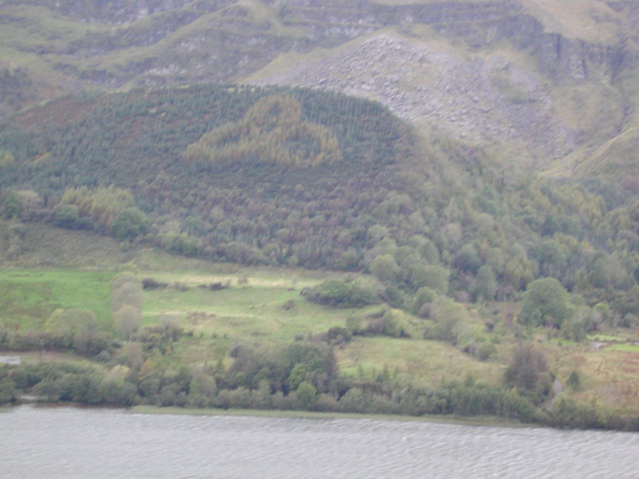 Clover leaf in trees at Drumcliff River Valley & Glencar Lake just east of Sligo