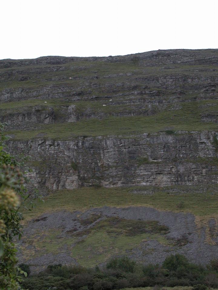 Sheep on Knocknarea, Queen Maeve's burial hill, from south