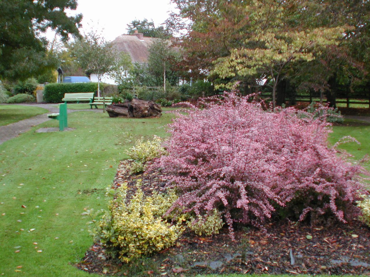 Adare Gardens