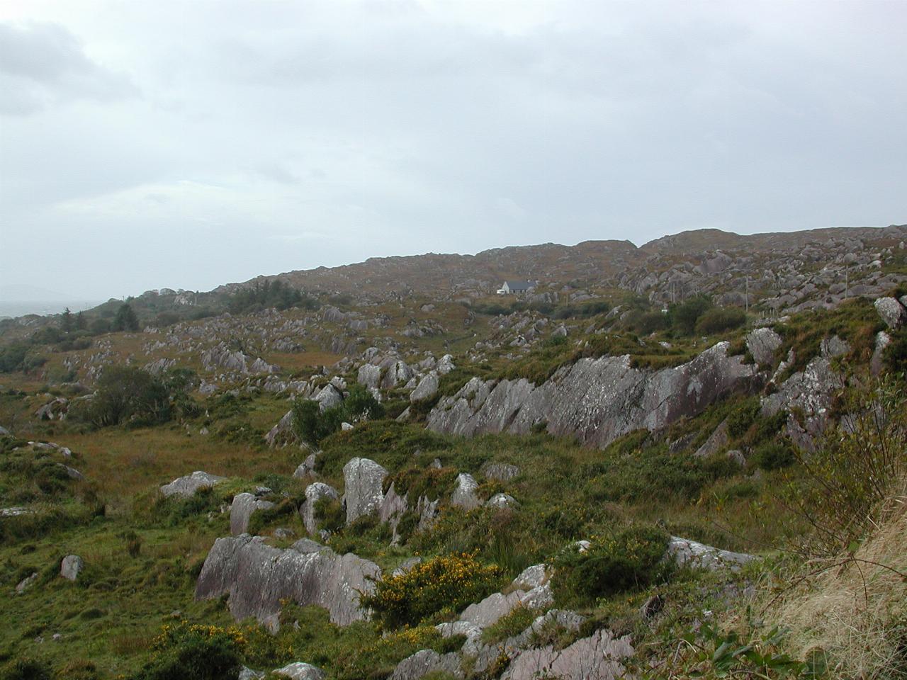 Overlooking Kenmare River from near Parknasilla, Ring of Kerry