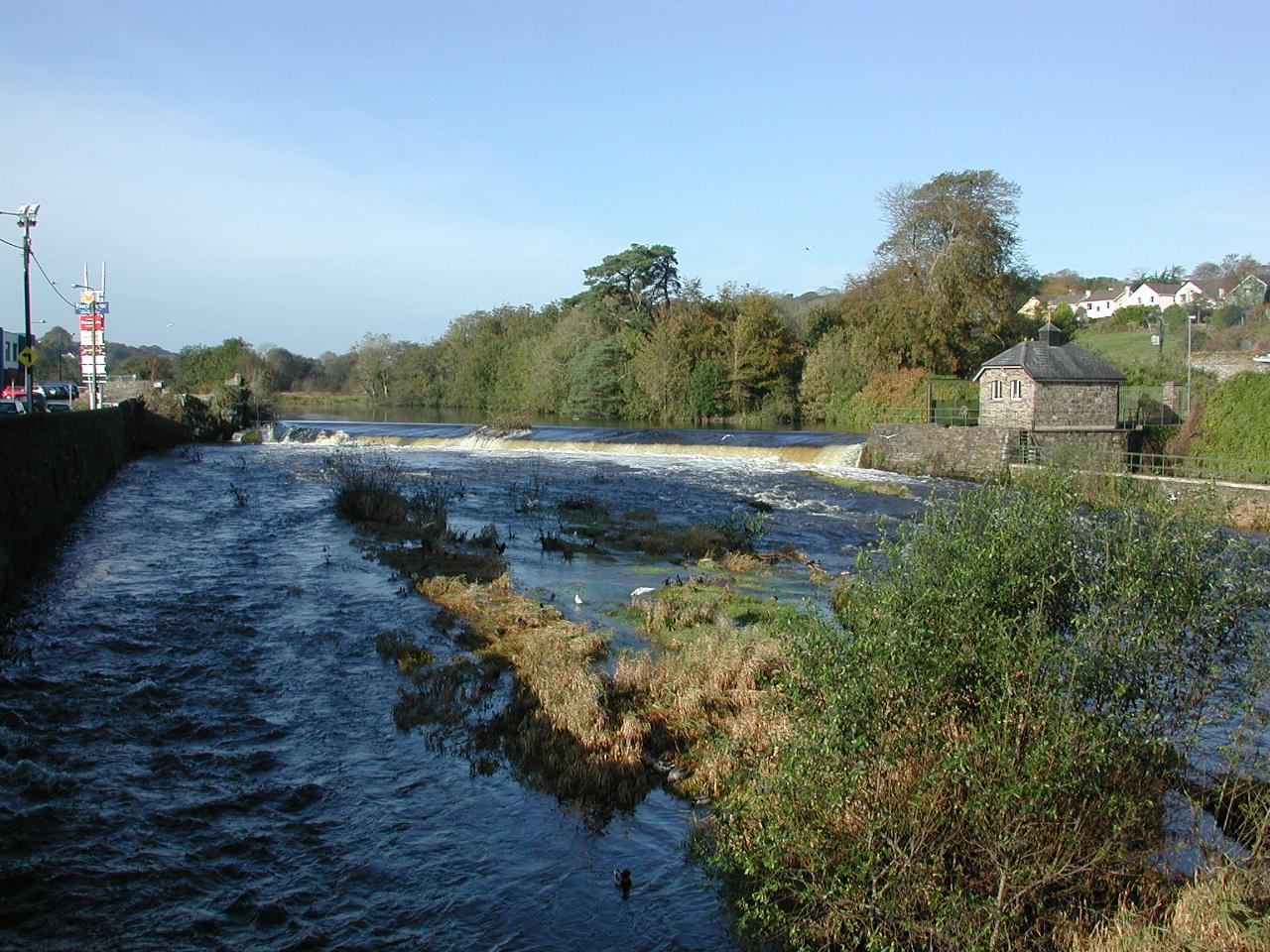 Bandon River & ducks