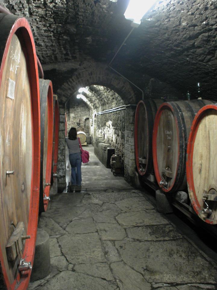 Cellar of Castello del Trebbio