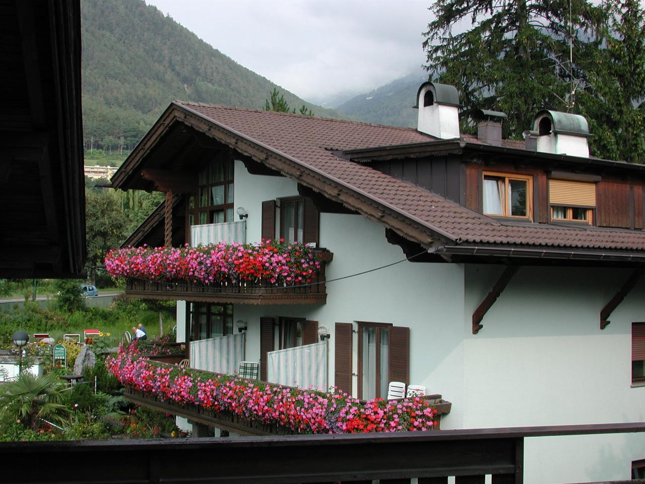 View from my balcony at 