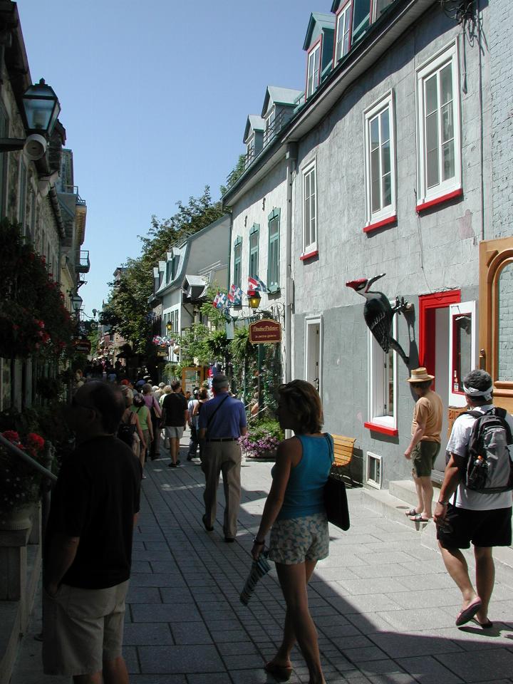 View along 