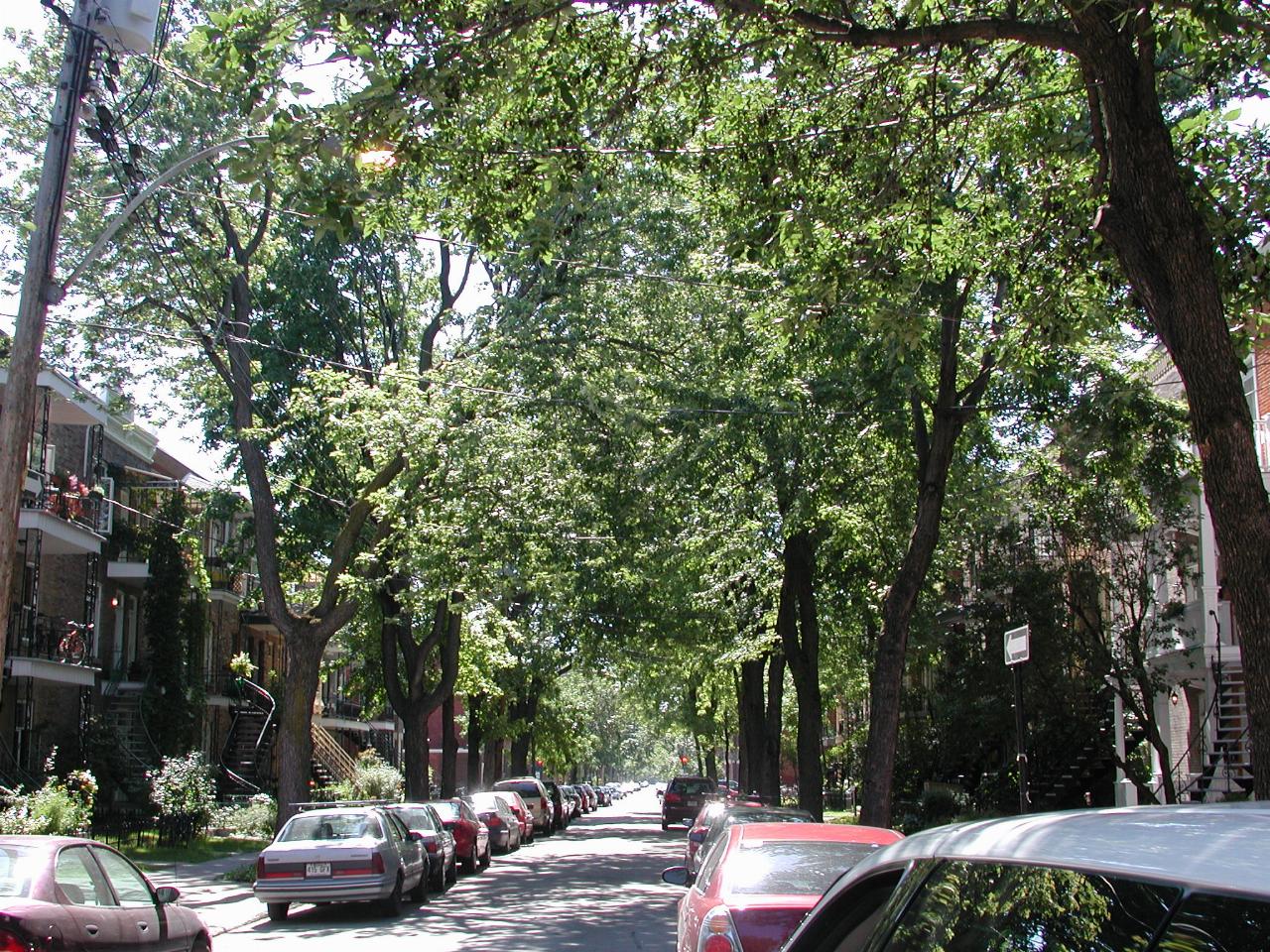 Another typical suburban Montreal street scene