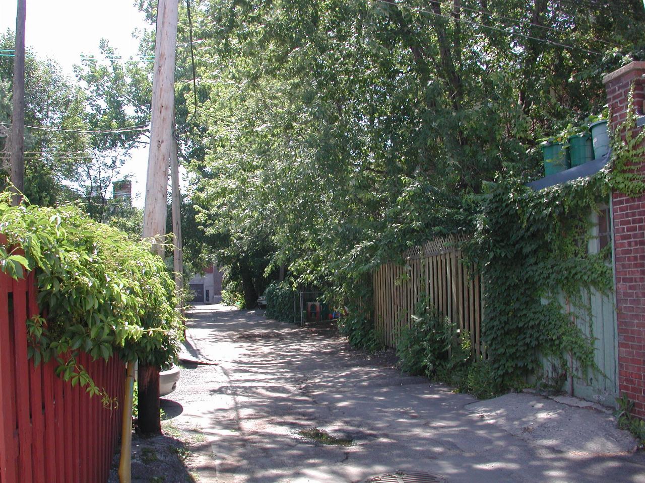 Suburban Montreal back lane scene